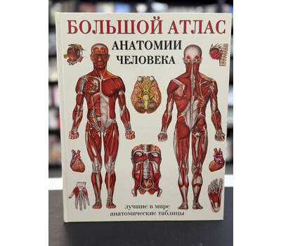 Большой атлас анатомии человека