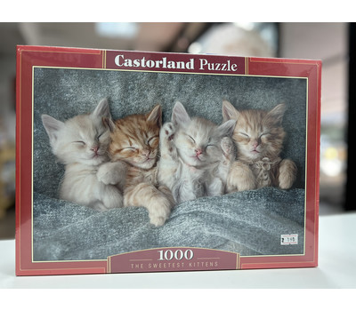 Puzzle-1000. Милые котята