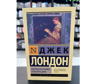 Маленькая хозяйка Большого дома