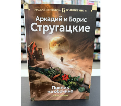Пикник на обочине. Время выбора